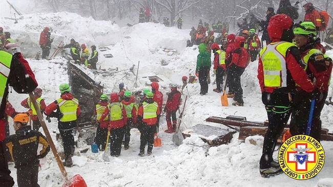 Hallan a tres perritos en hotel sepultado por avalancha. Foto: Agencia Reuters
