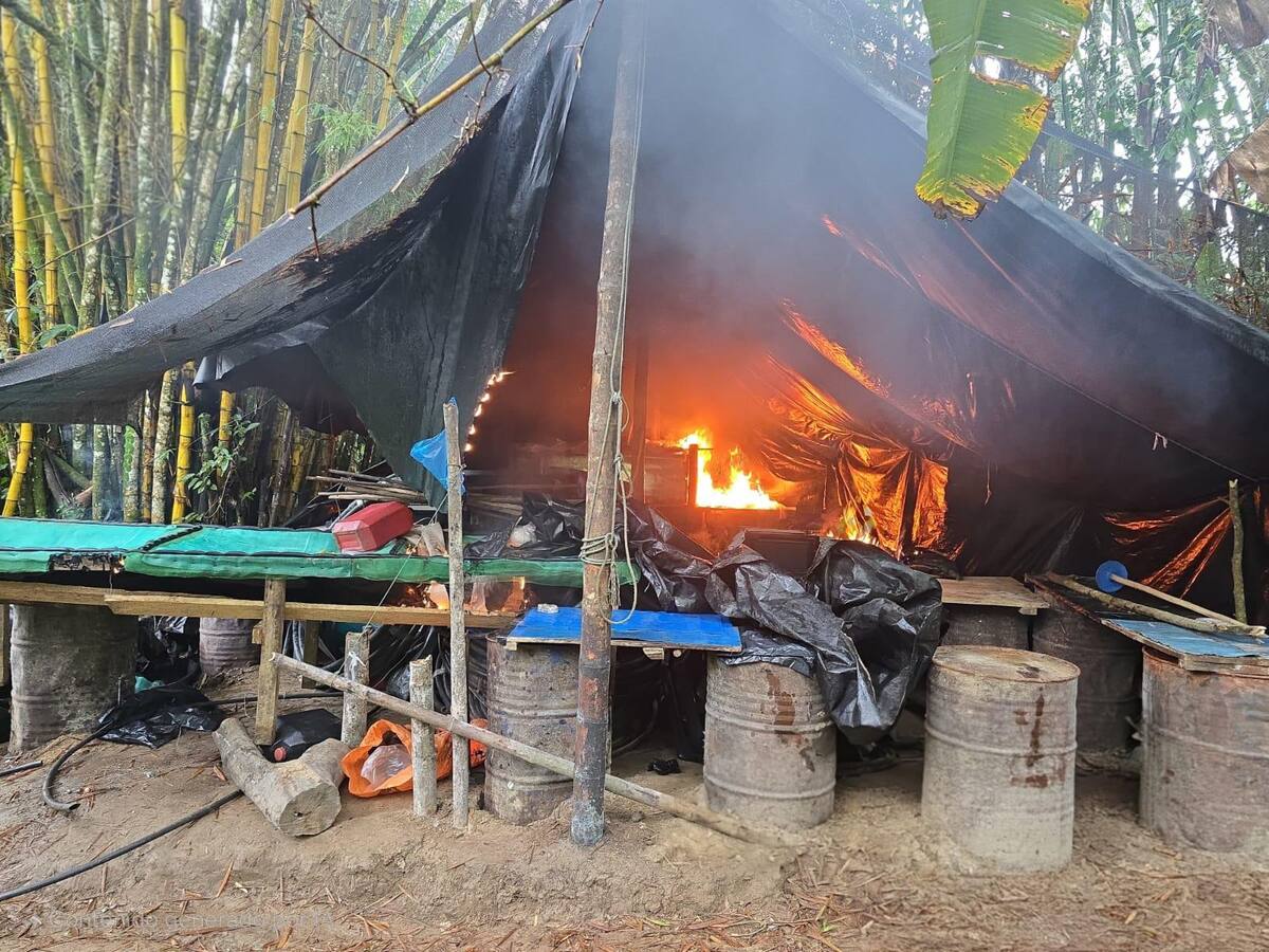 Destruyen laboratorio para el procesamiento de clorhidrato de cocaína en Puerto Asís, Putumayo