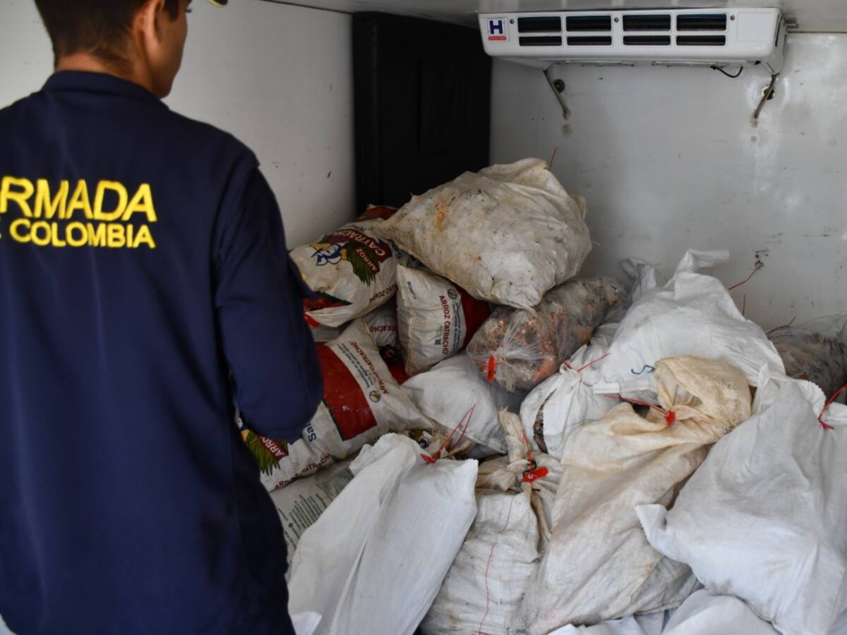 San Andrés: incautan embarcación hondureña con más de 1.5 toneladas de pesca ilegal