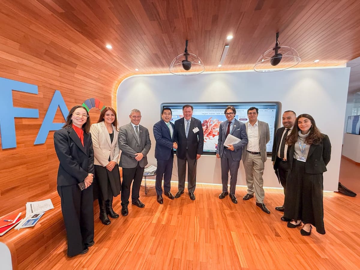 FAO apoyará la ganadería regenerativa en Colombia y beneficiará a 100.000 pequeños productores