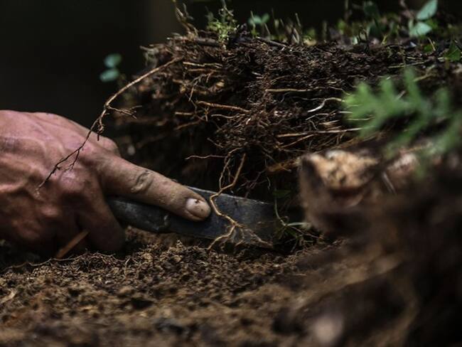 La Defensoría del Pueblo lanzó la alerta en la región.. Foto: Getty Images
