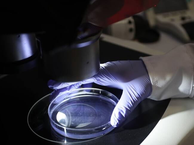 Nuevo tratamiento contra cáncer de cuello uterino, entre las patentes de la Univalle