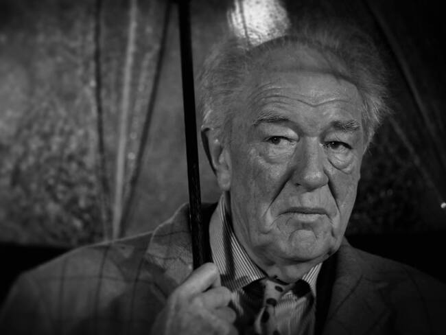 Michael Gambon. (Photo by Mike Marsland/WireImage)