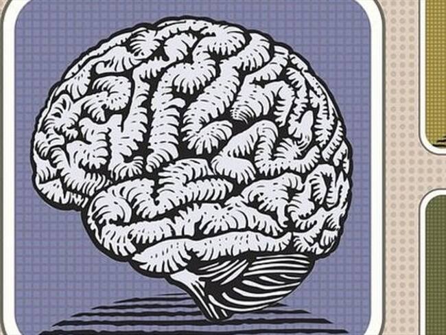 Hasta donde muchos sabíamos, eran 5 sentidos. Ahora hablan de más de 30.. Foto: BBC Mundo