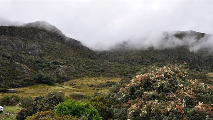 La empresa Eco Oro Minerals Corp demandó al Estado colombiano por la prohibición de la actividad minera en el Páramo de Santurbán. Foto: Colprensa