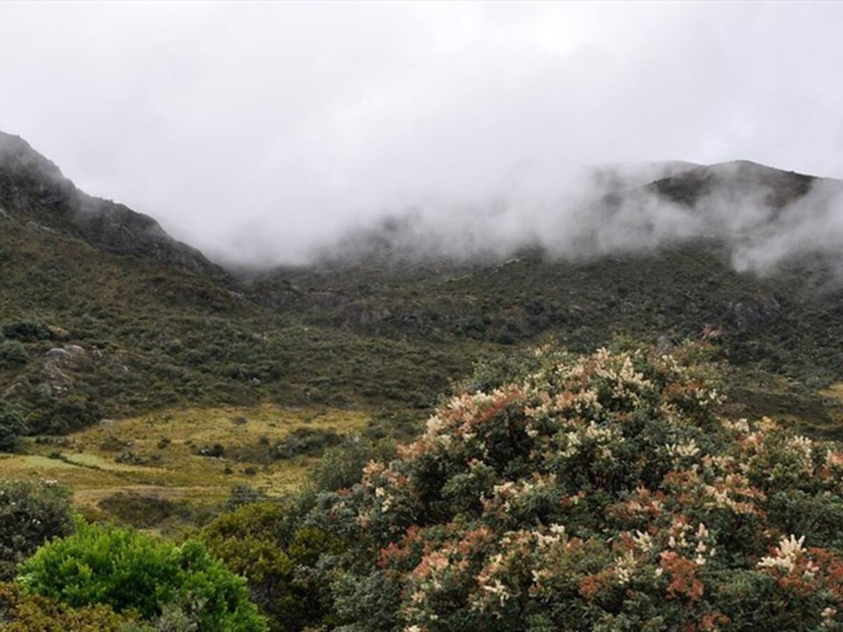 Colombia se defiende ante el Ciadi por caso Santurbán