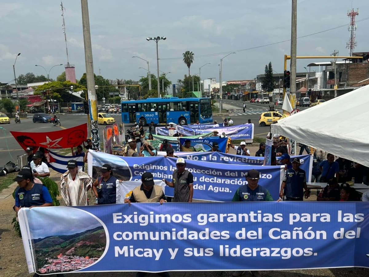 Desde el Cañón del Micay, Cauca, llegarán comunidades a la COP 16 en Cali