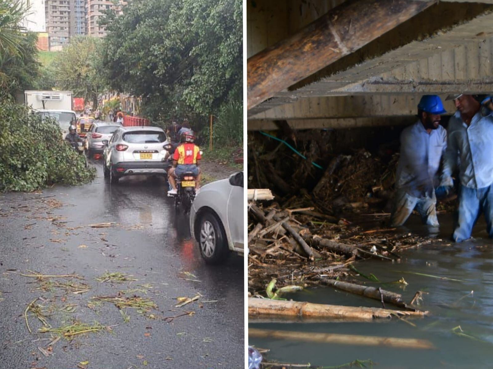 Afectaciones por vendaval en Pereira y Dosquebradas (fotos Alcaldía de Pereira y Dosquebradas)