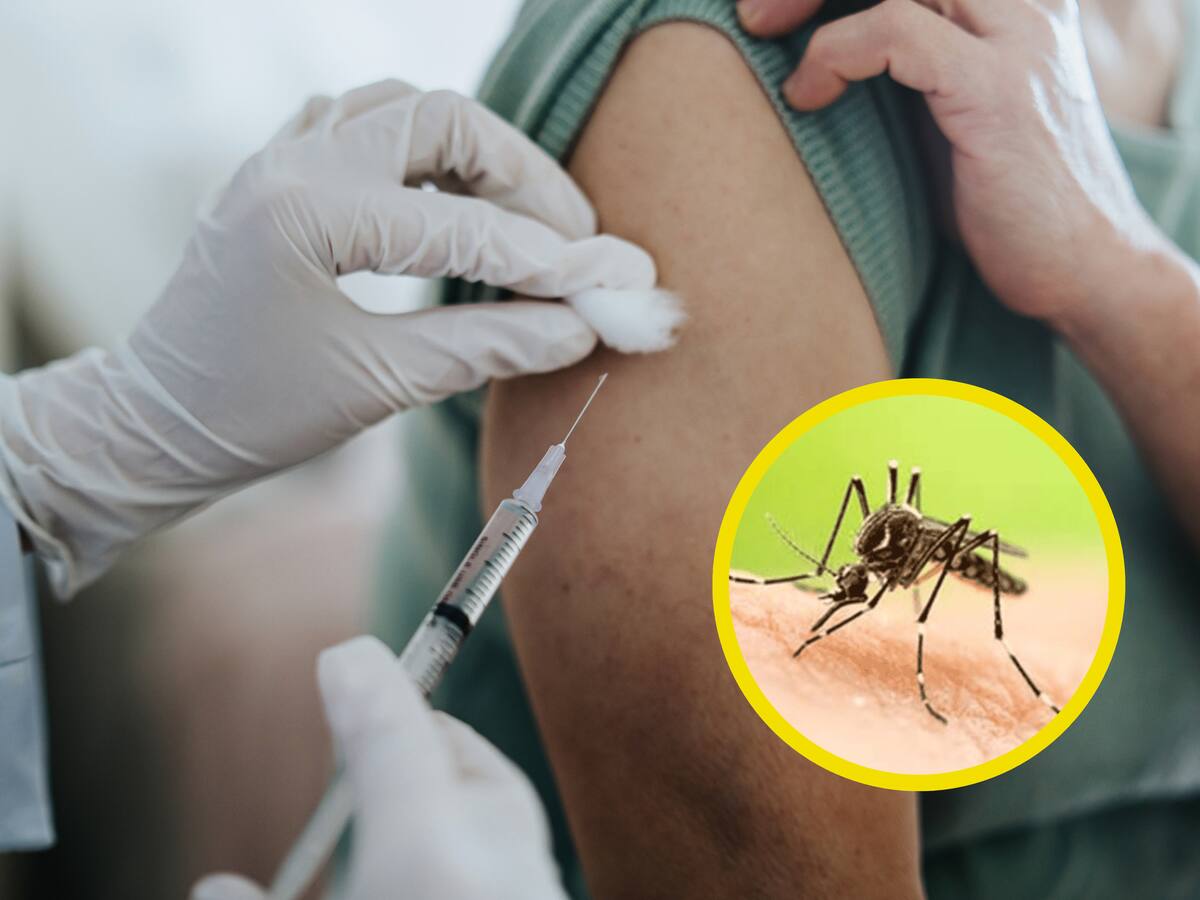 Vacuna contra la fiebre amarilla: ¿se debe aplicar más de una vez? Explicación