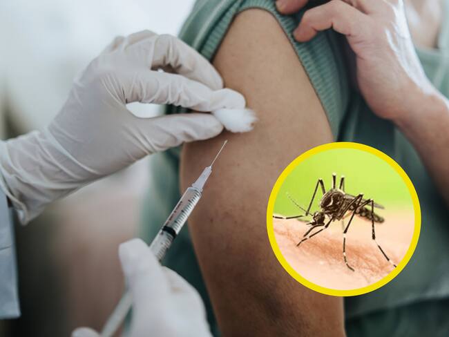 Secretario de Salud de Bogotá habla sobre la alerta de fiebre amarilla en Colombia