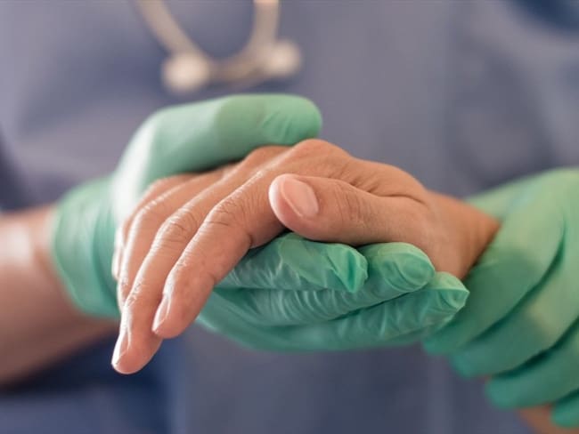 Aplican la eutanasia a la ‘Mona Jaller’ / imagen de referencia. Foto: Getty Images