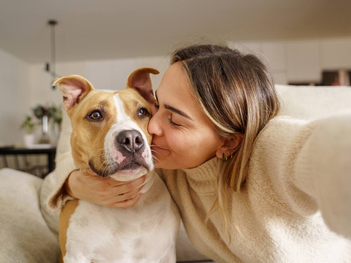 El presidente de Ecuador ordenó la eliminación del IVA en los alimentos para las mascotas