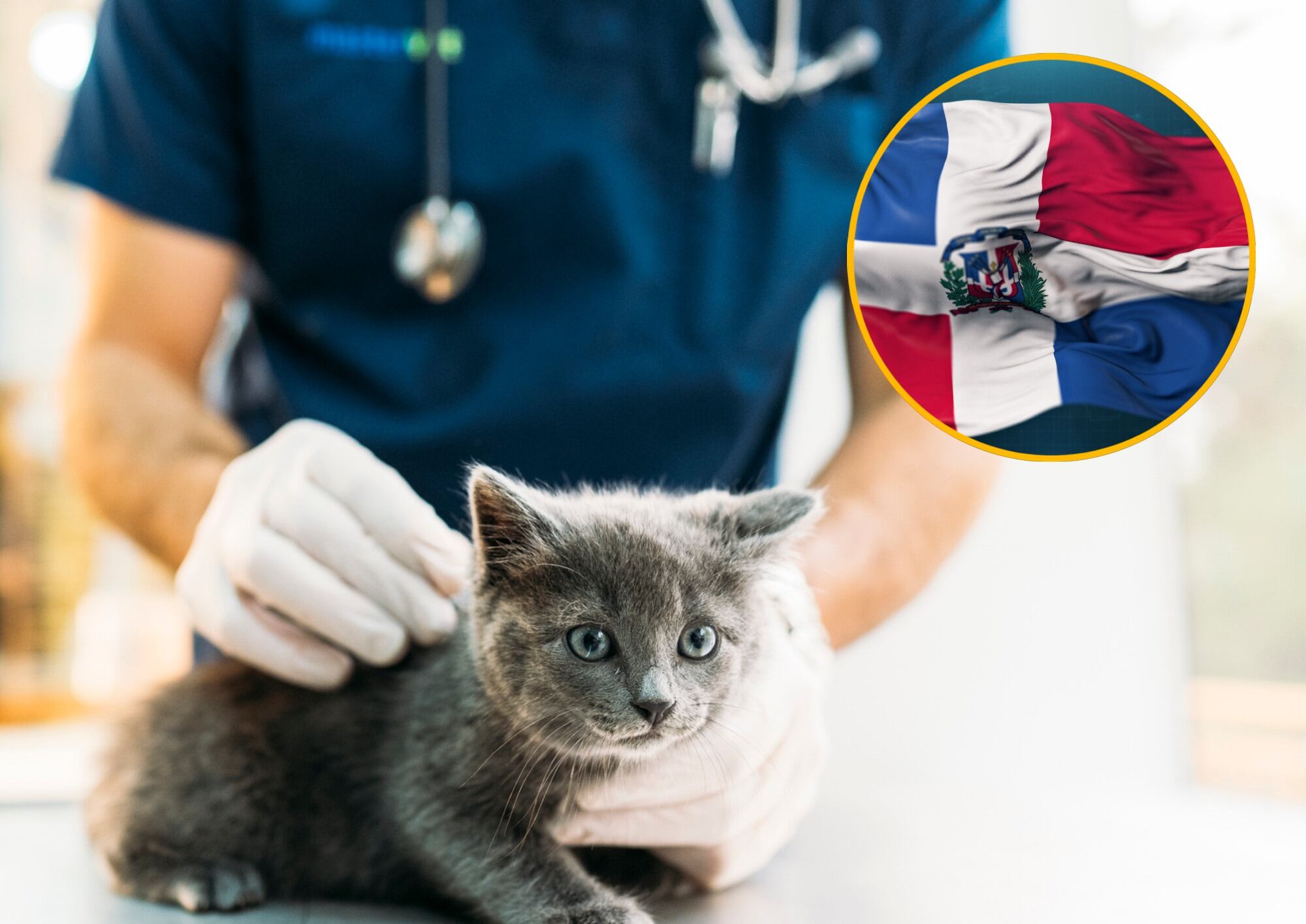 República Dominicana abre convocatoria laboral a través del SENA: pagan más de 4 millones. Foto: Getty Images.