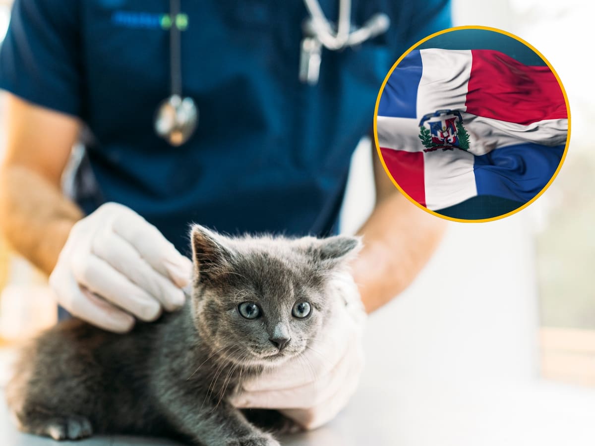 República Dominicana abre convocatoria laboral a través del SENA: pagan más de 4 millones