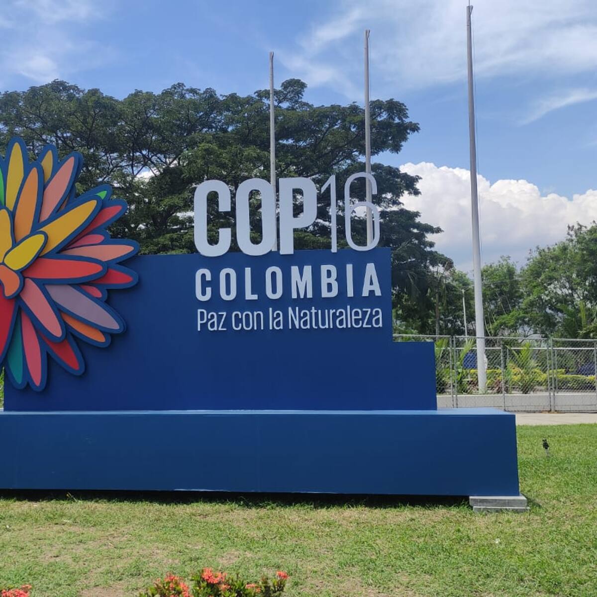 “Es la muestra de negocios verdes más importante de Colombia”: director CVC sobre la COP16