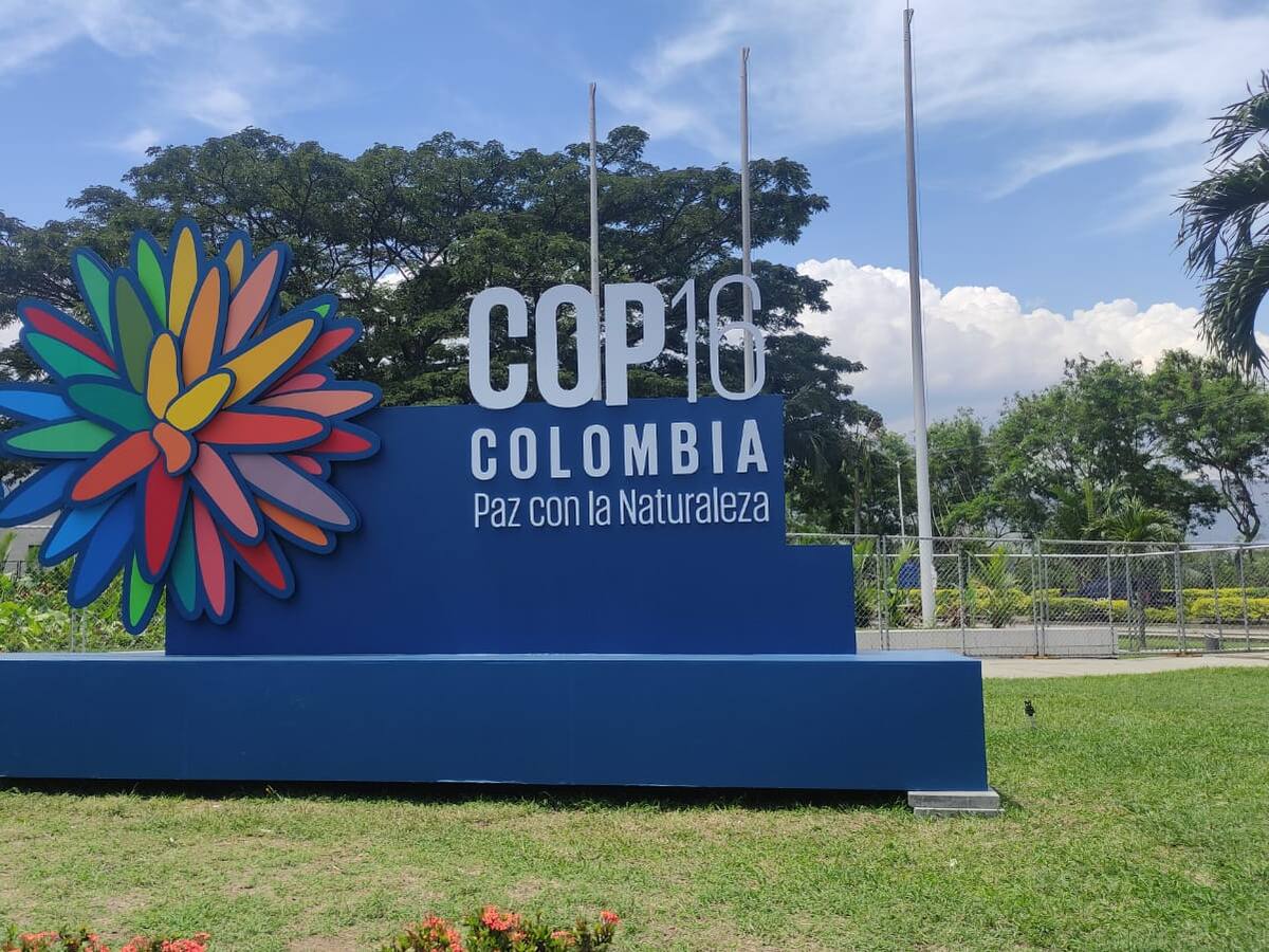 “Es la muestra de negocios verdes más importante de Colombia”: director CVC sobre la COP16