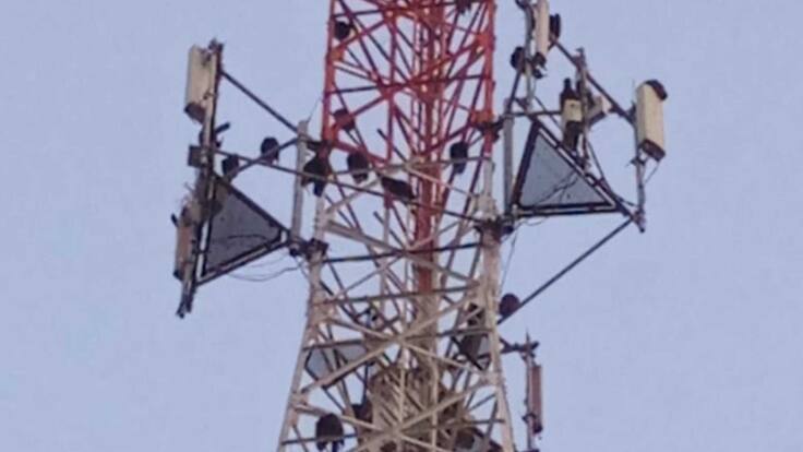 Heces de goleros afectan la salud de habitantes de Sevillano, en Ciénaga, Magdalena