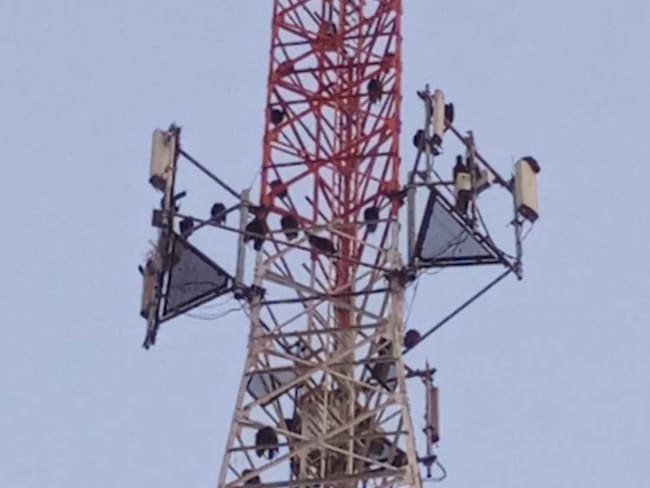 Heces de goleros afectan la salud de habitantes de Sevillano, en Ciénaga, Magdalena