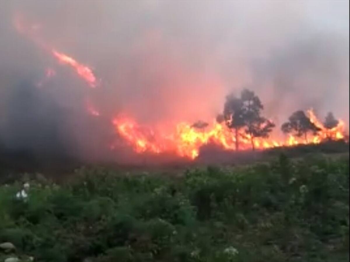 Incendio forestal deja varias hectáreas afectadas en el nuevo Gramalote