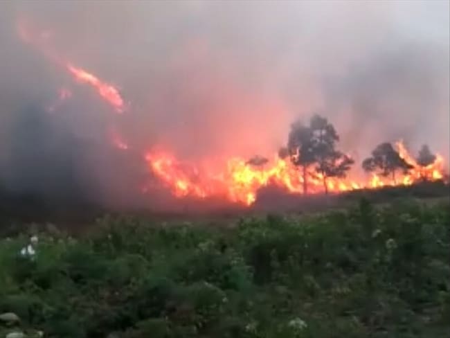 Con este serían tres incendios forestales que se han presentado en las últimas semanas en Norte de Santander. Foto: Cortesía Luis Sánchez