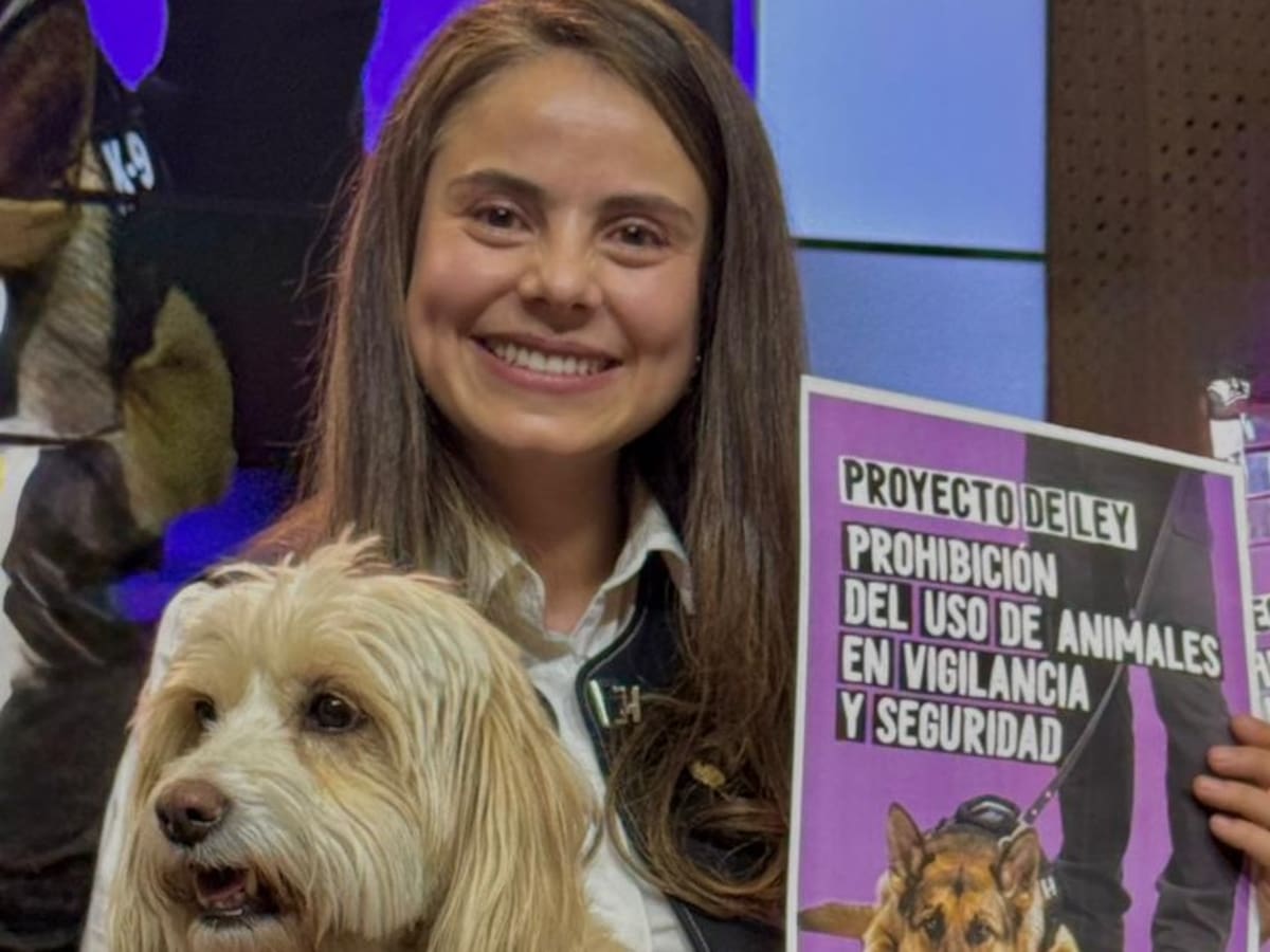 Radican proyecto de ley para prohibir que perros trabajen en vigilancia y seguridad privada