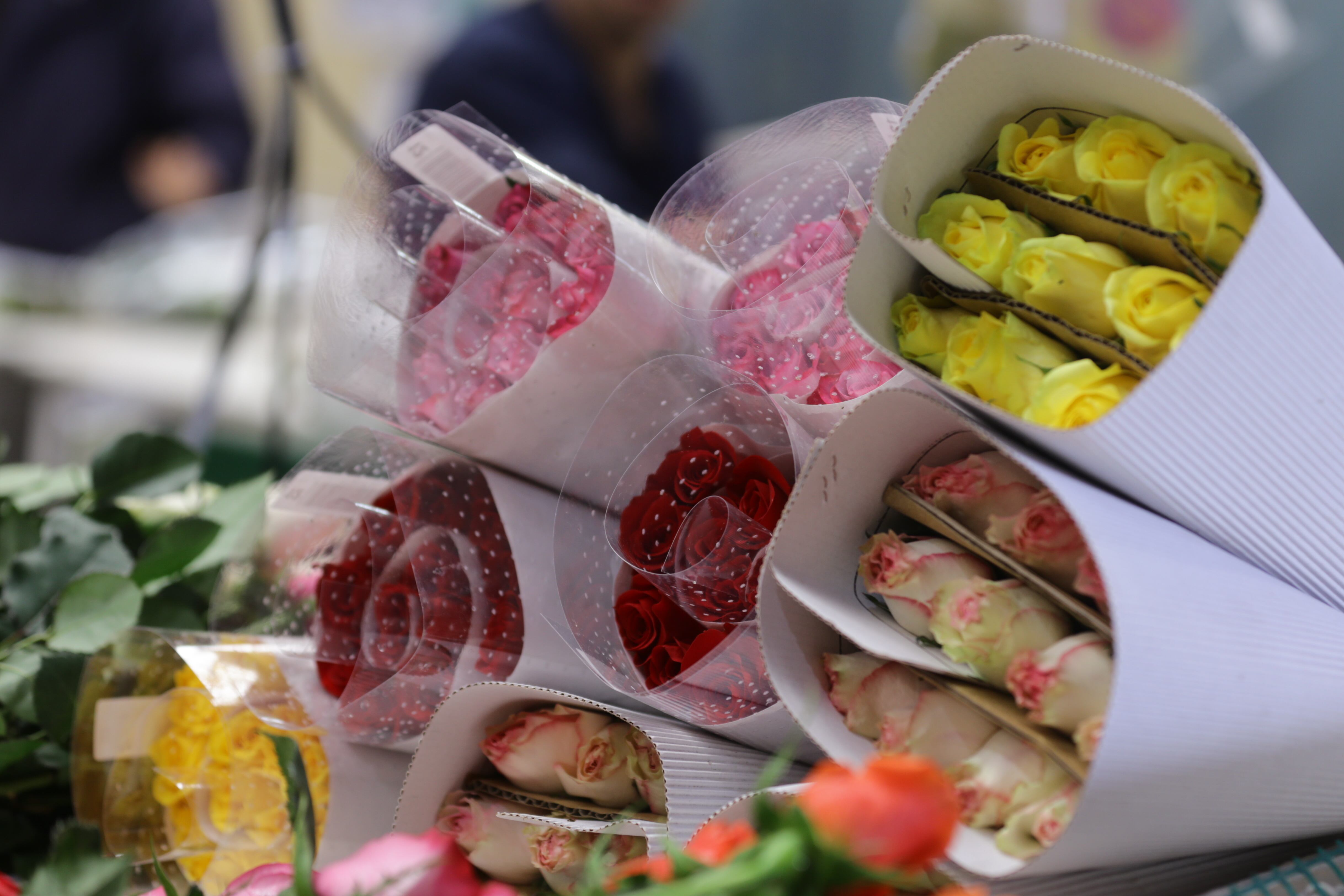 Cultivo de flores de Asocolflores en Chía. Créditos: Colprensa