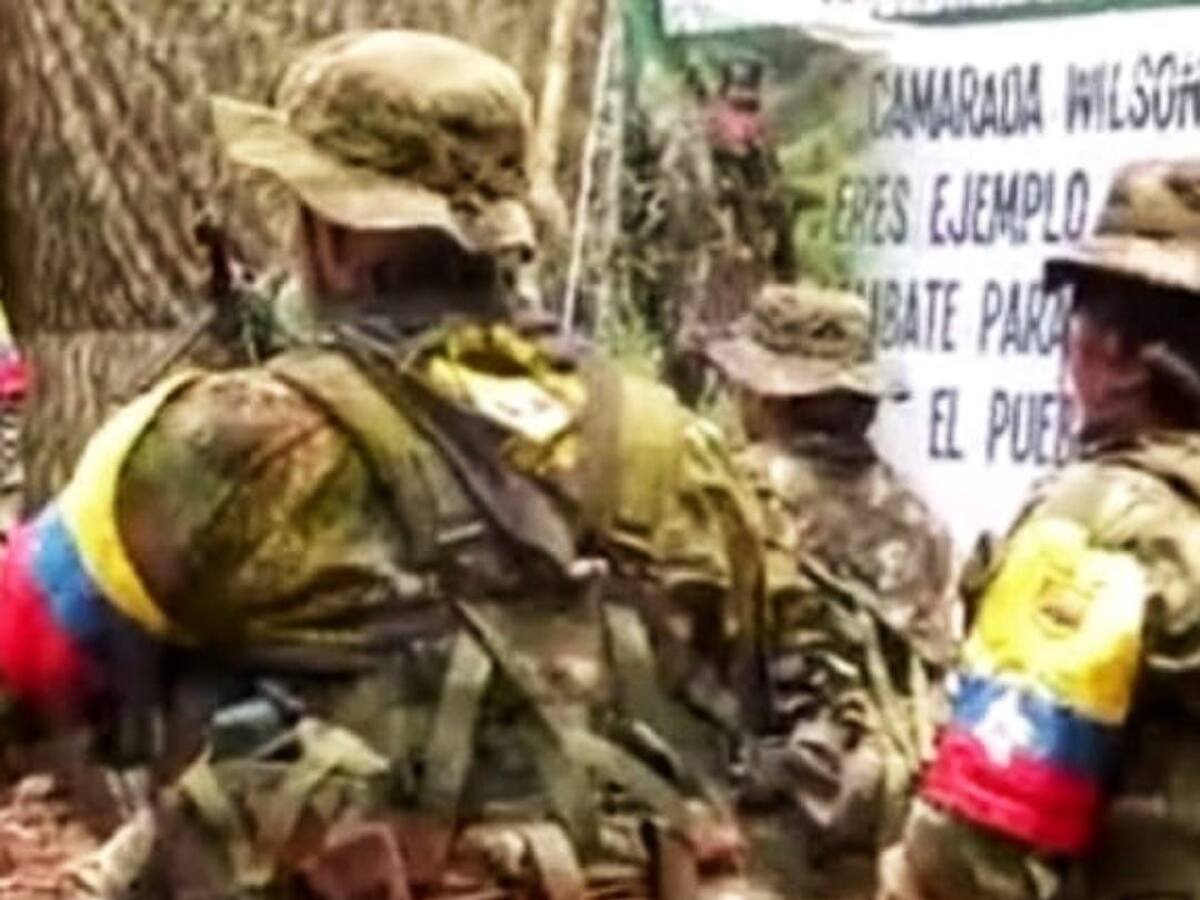 Disidencias de las Farc anuncian voluntad de diálogo con el Gobierno en el Cauca