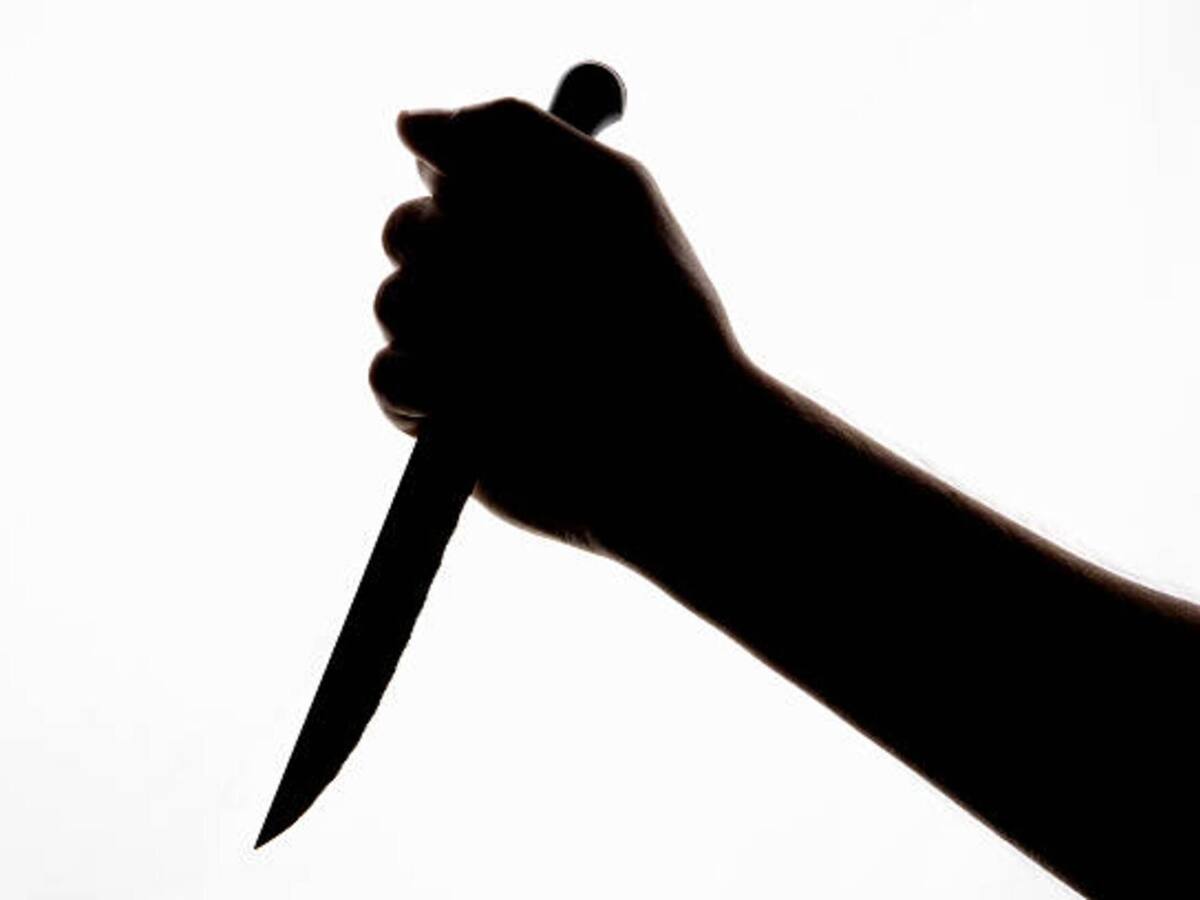 Hombre atacó con arma blanca a un perro en Santa Marta