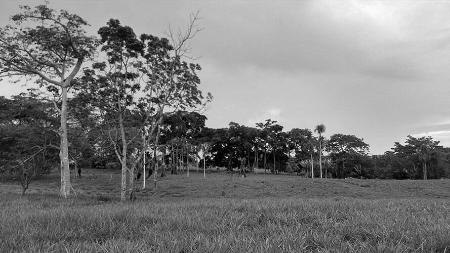 Desde la Unidad de Restitución de Tierras-URT, se rechazó el ataque con explosivos en el que murió un policía en zona rural de Montería.Foto:URT.