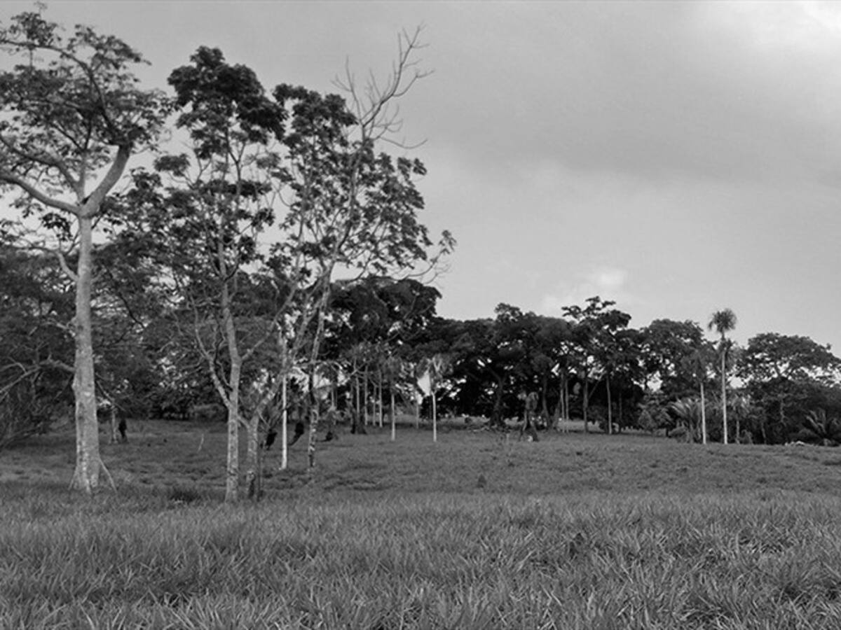 Atentado a diligencia judicial del proceso de restitución de tierras en Córdoba: URT