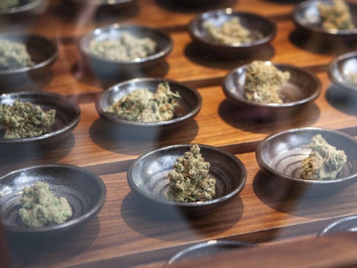 La guerra contra las drogas se perdió: Juan Fernando Reyes