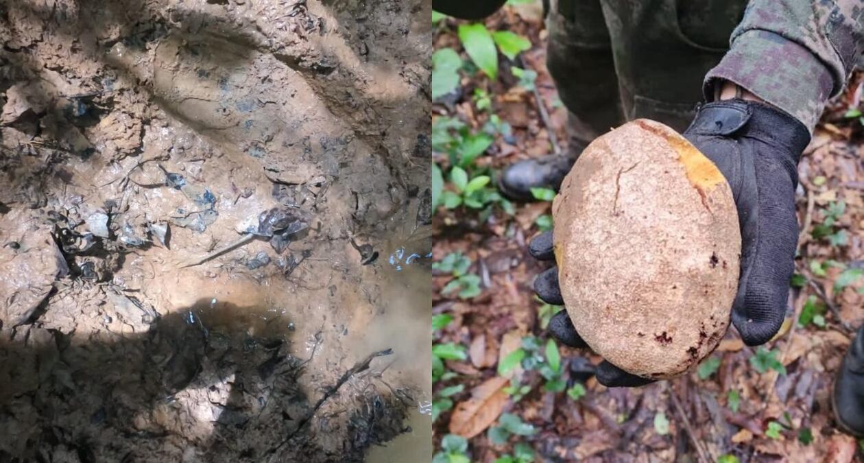 Nueva prueba de niños perdidos en el Guaviare. Foto: Cortesía Ejército Nacional.
