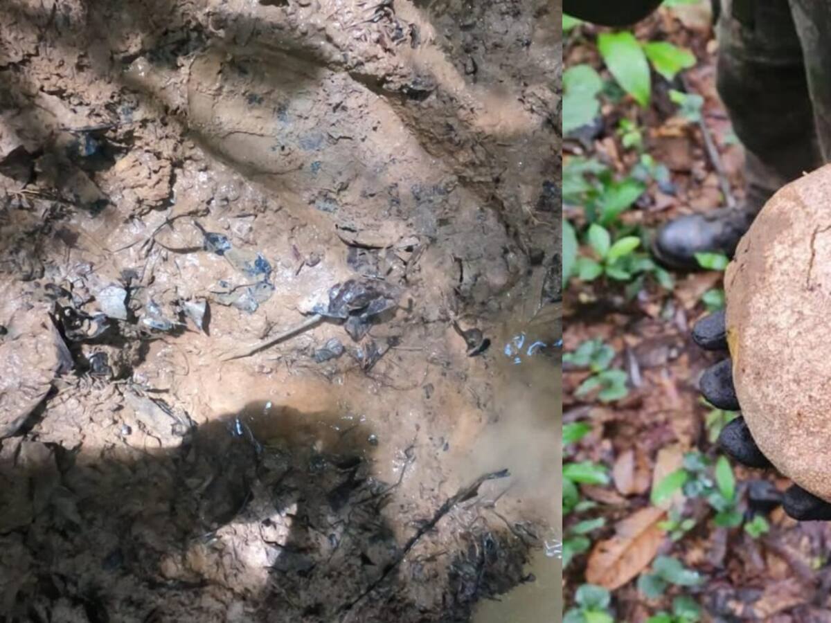 Fuerzas Militares localizaron nueva huella de uno de los menores desaparecidos en Guaviare