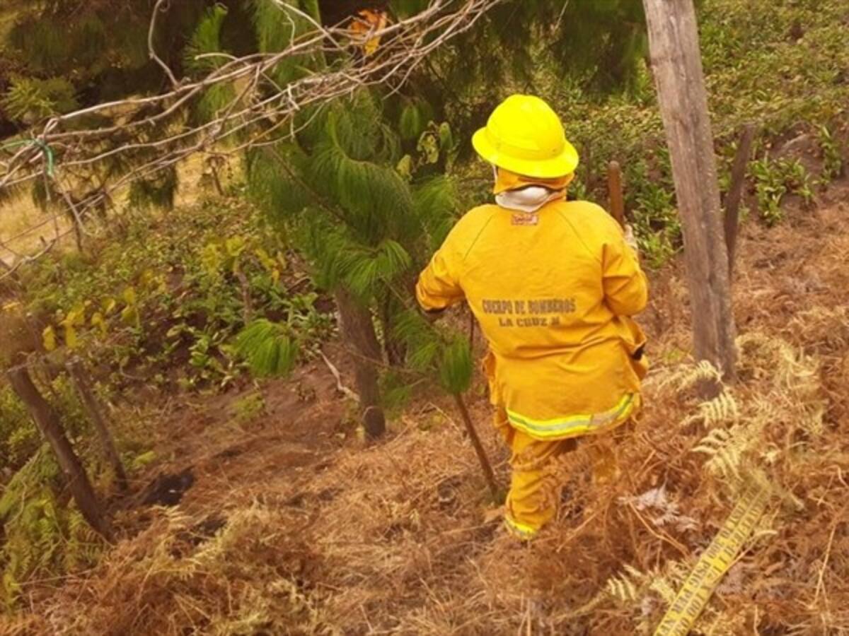“Nuestros bosques son parte de la vida”: bomberos de La Cruz, Nariño