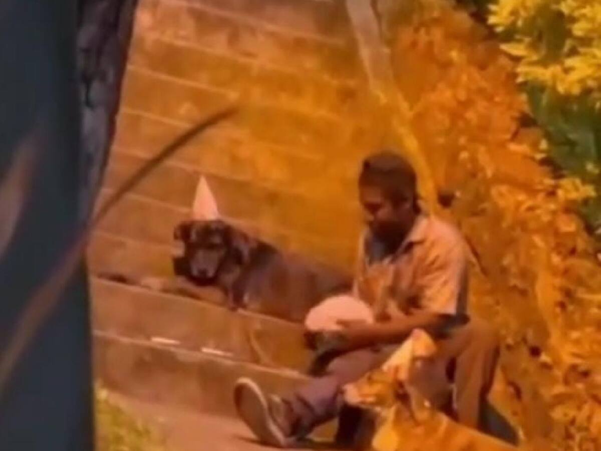 Conmovedor video de habitante de calle celebrando el cumpleaños de sus perros