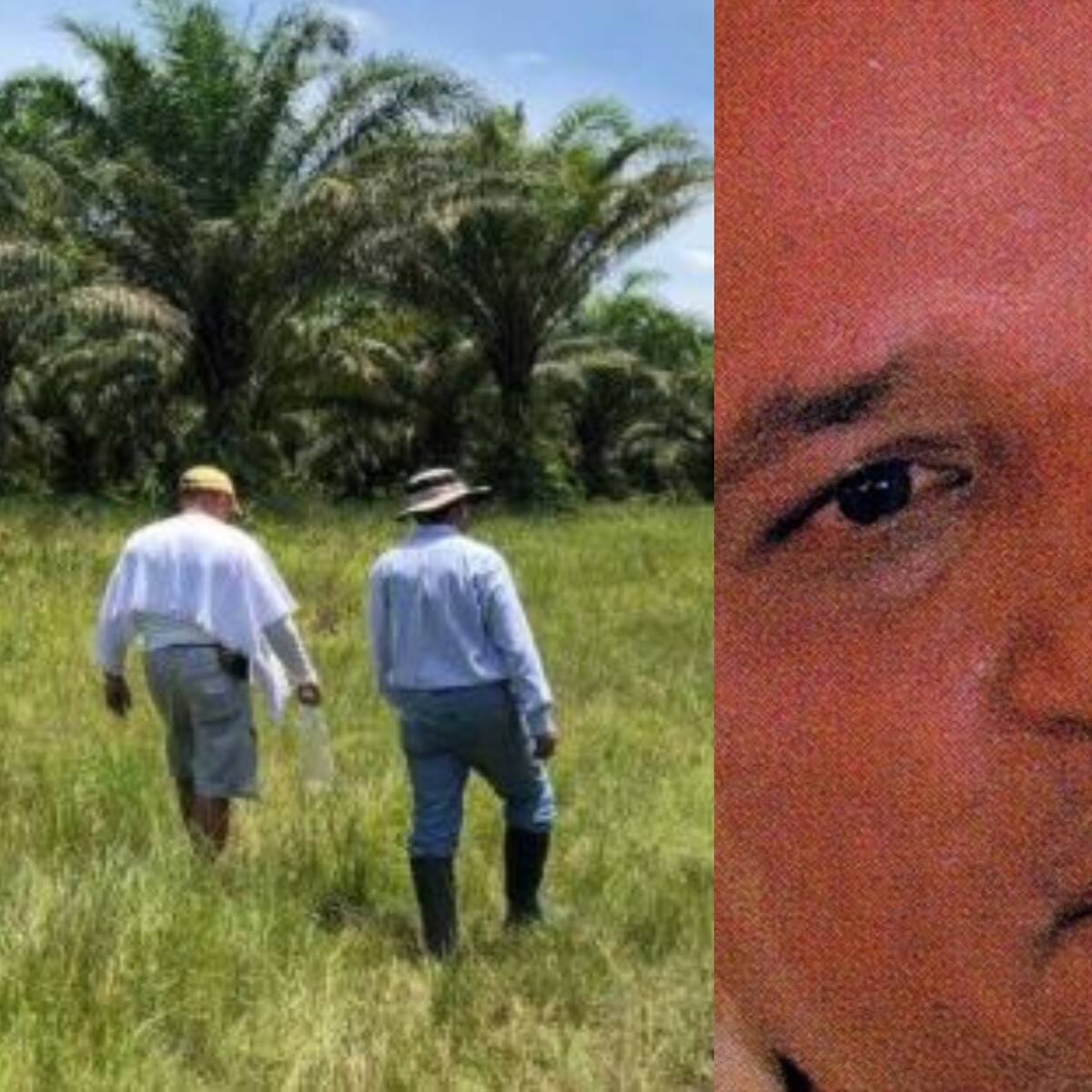 JEP acepta a fundadora de Urapalma por admitir despojo a campesinos en alianza con ‘paras’