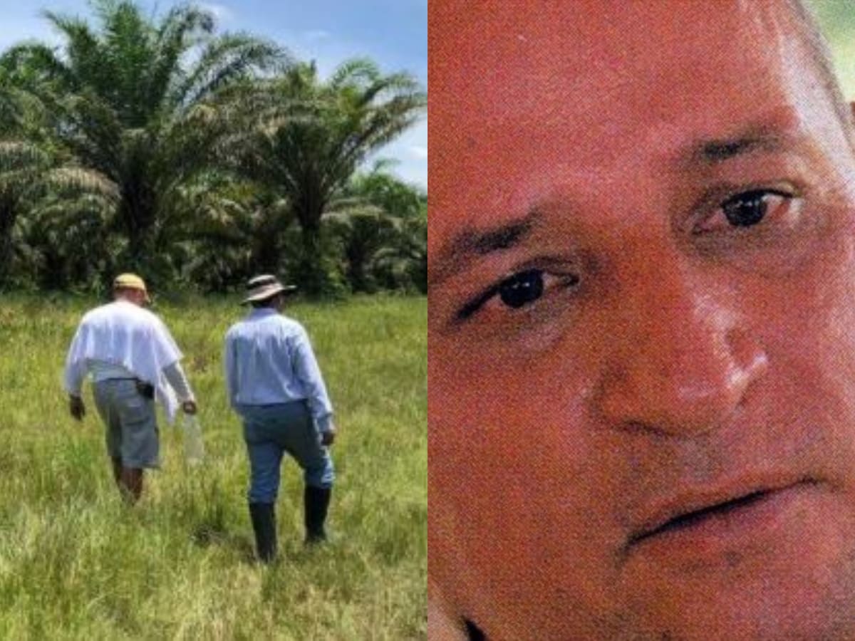 JEP acepta a fundadora de Urapalma por admitir despojo a campesinos en alianza con ‘paras’