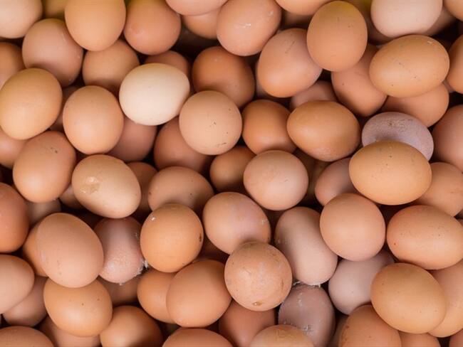 La donación de 1’000.000 de huevos para 40.000 niños