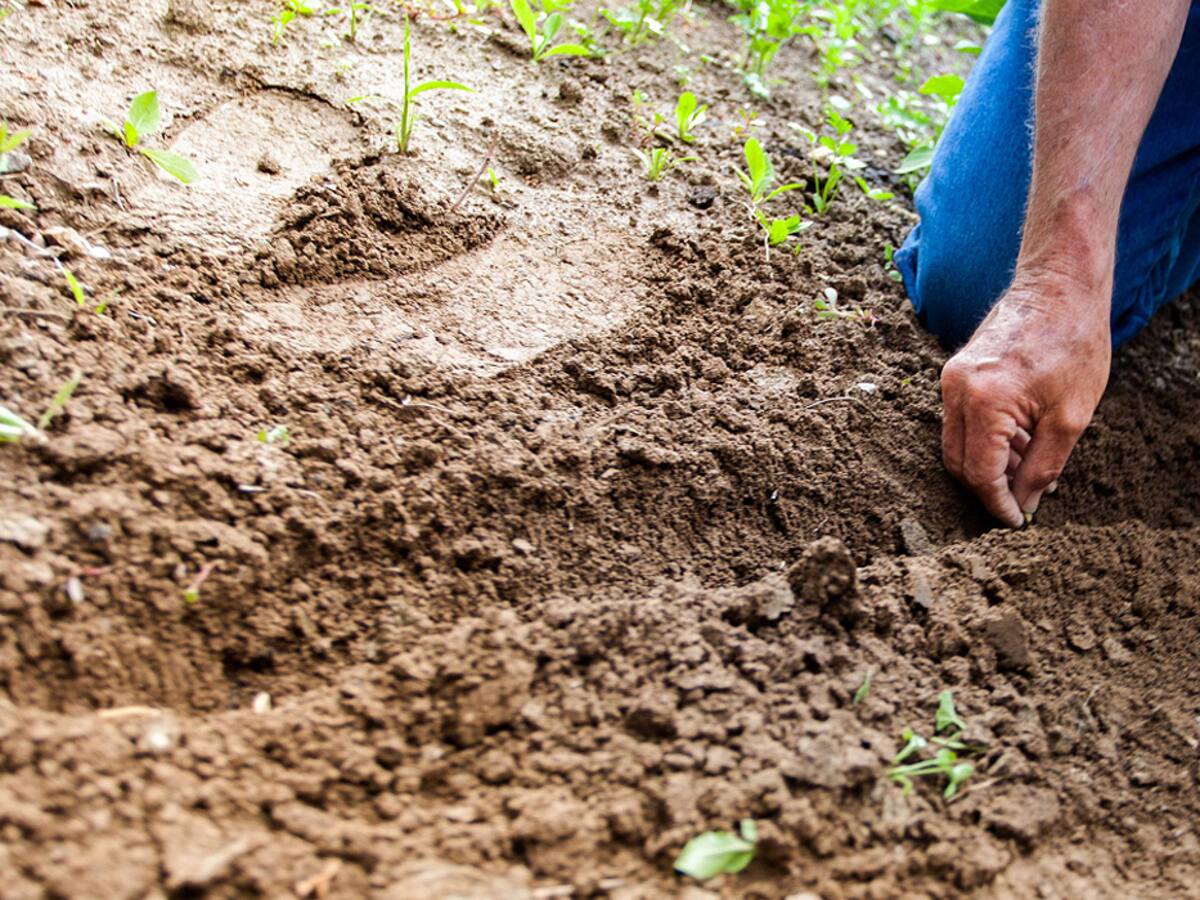 Campesinos del Atlántico advierten de irregularidades en la asignación de predios
