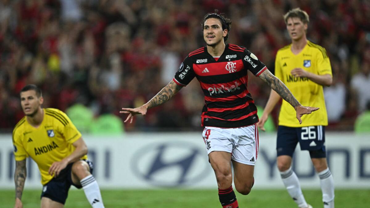 Análisis: ¿Qué pasó con Millonarios en la Copa Libertadores?