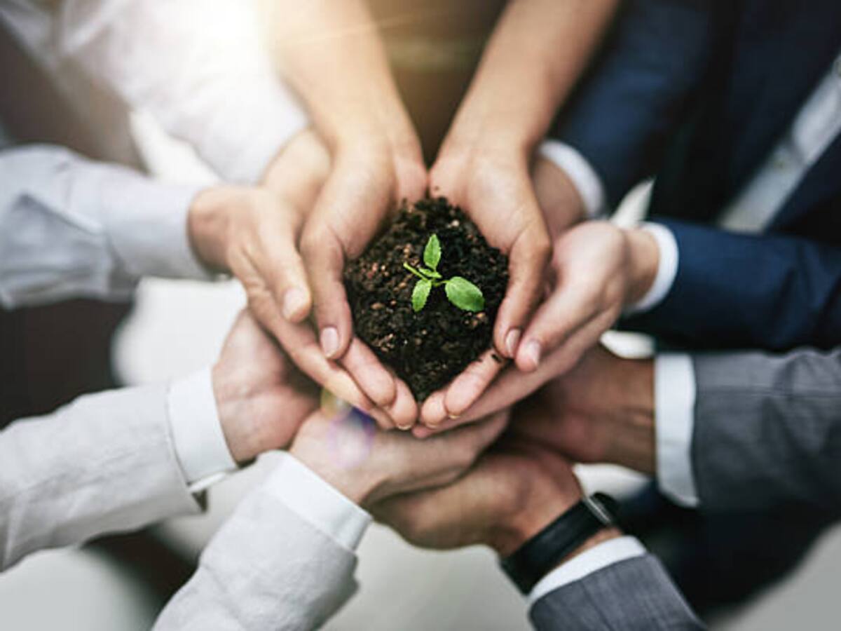 Autoridades buscan fortalecer la conservación ambiental en el Distrito de Santa Marta