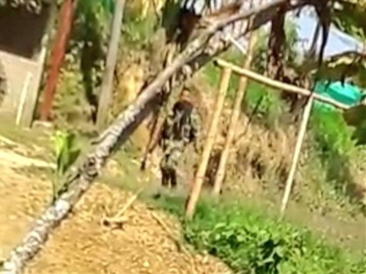 Zozobra por combates cerca de un colegio en Corinto, Cauca