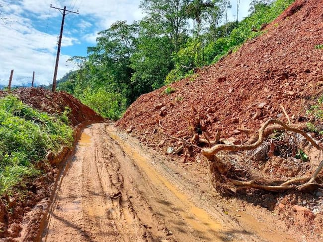 Gobernación del Chocó interviene la vía a San José del Palmar