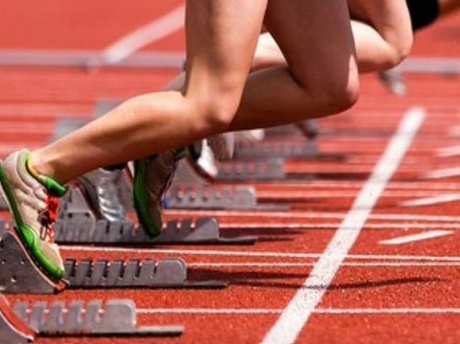 Para Gutiérrez la entidad estaría incurriendo la firma tercerizadora es de papel. Foto: Suministrada.