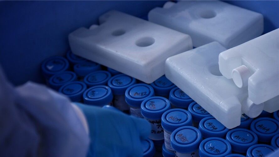 Pruebas COVID-19 Nariño. Foto: Colprensa