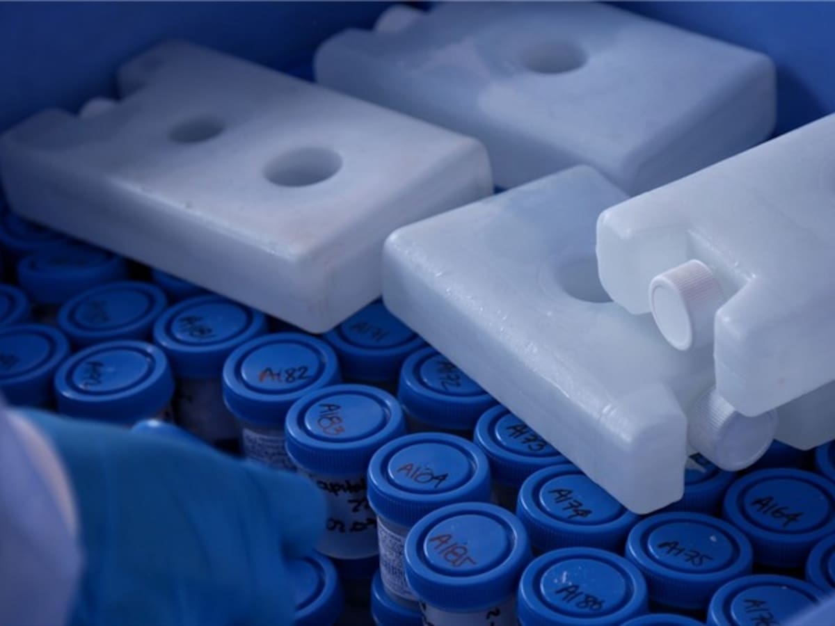 Hurtan vehículo con pruebas COVID-19 en Nariño