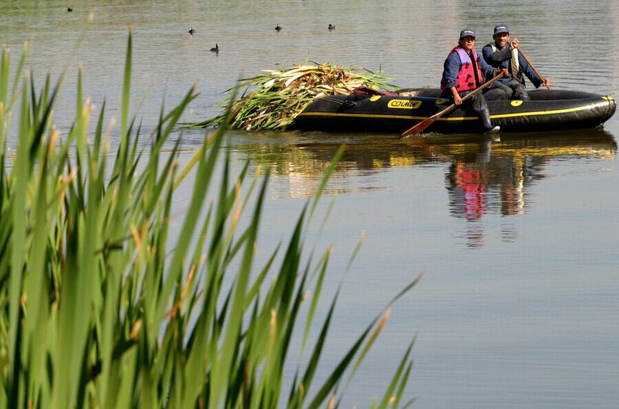 Imagen de referencia del Humedal Jaboque. Foto: Colprensa.