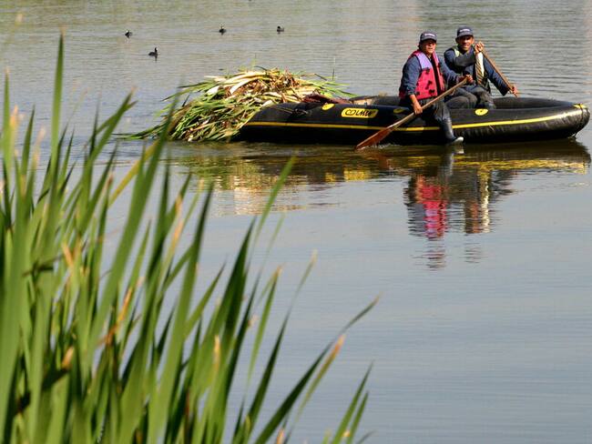 Imagen de referencia del Humedal Jaboque. Foto: Colprensa.