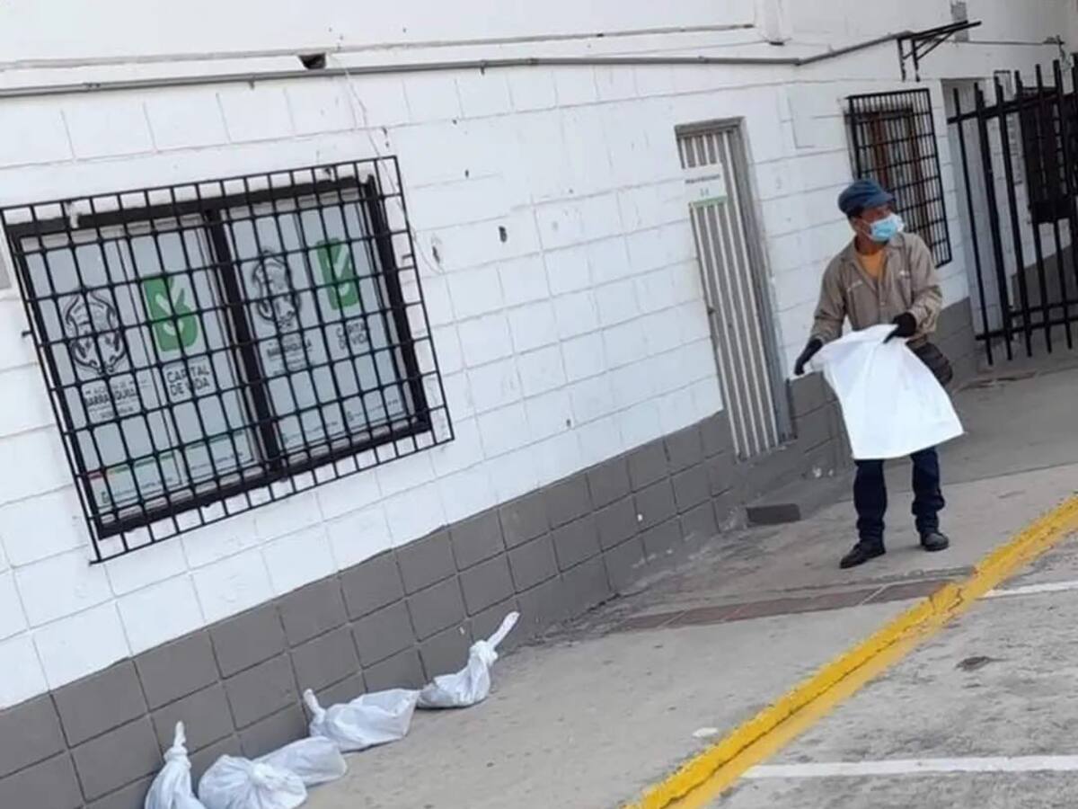 Polémica por traslado de felinos en bolsas plásticas