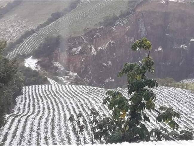Los municipios con mayores afectaciones por una fuerte granizada son Aldana, Guachucal, Pupiales y Pasto. Foto: Paulo Paz (W Radio)